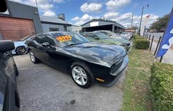 Dodge salvage cars for sale: 2013 Dodge Challenger SXT