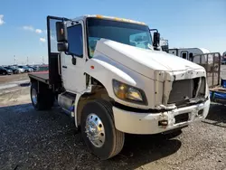 Salvage trucks for sale at Houston, TX auction: 2019 Hino Hino 338