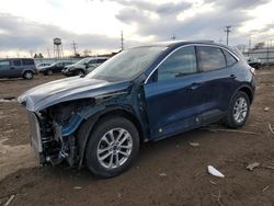 Salvage cars for sale at Chicago Heights, IL auction: 2020 Ford Escape SE