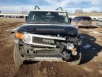 2007 Toyota FJ Cruiser