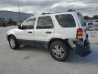 2007 Ford Escape XLT