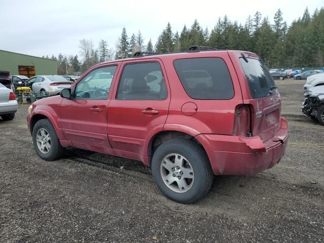 2005 Ford Escape Limited