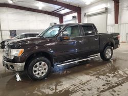 Salvage cars for sale from Copart Avon, MN: 2013 Ford F150 Supercrew