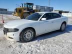 2017 Dodge Charger Police