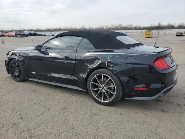 2019 Ford Mustang