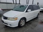 2004 Honda Odyssey EXL