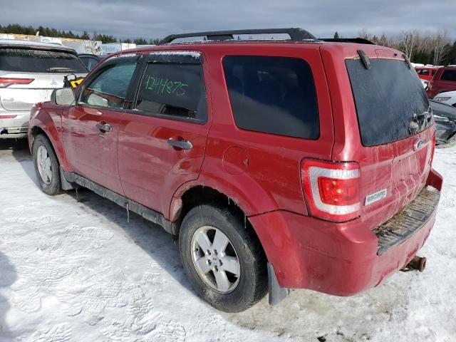 2011 Ford Escape XLT