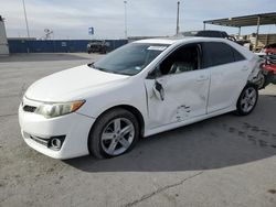 Salvage cars for sale at Anthony, TX auction: 2013 Toyota Camry L