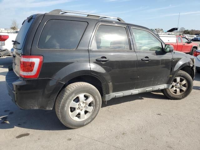 2011 Ford Escape Limited