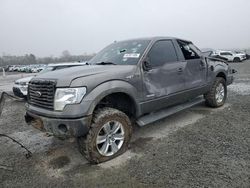 Salvage cars for sale at Lumberton, NC auction: 2012 Ford F150 Supercrew