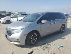 Salvage cars for sale at Grand Prairie, TX auction: 2022 Honda Odyssey EXL