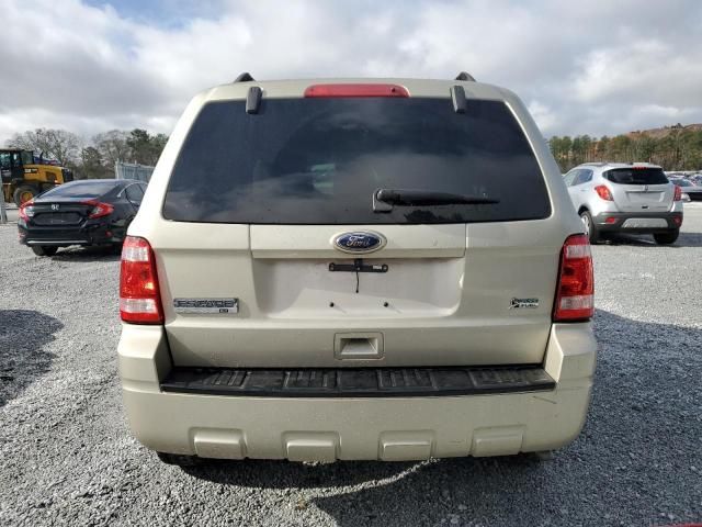 2010 Ford Escape XLT