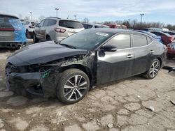 Nissan salvage cars for sale: 2021 Nissan Maxima SV