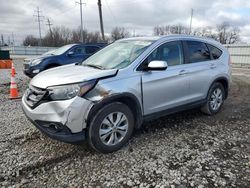 Salvage cars for sale at Columbus, OH auction: 2013 Honda CR-V EXL