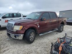 Salvage cars for sale at Taylor, TX auction: 2010 Ford F150 Supercrew