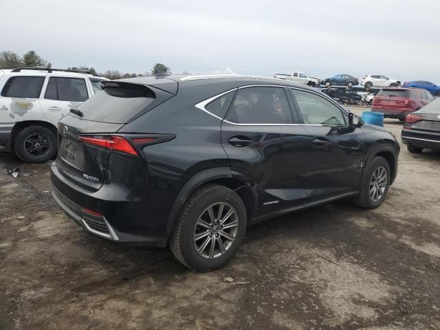 2019 Lexus NX 300H