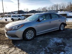 2016 Hyundai Sonata Hybrid en venta en Marlboro, NY