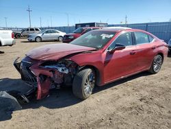 Salvage cars for sale at auction: 2024 Lexus ES 300H Base