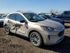 2020 Ford Escape SE Sport