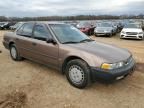 1991 Honda Accord DX