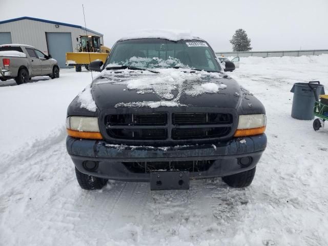 2000 Dodge Dakota