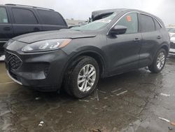 Salvage cars for sale at Martinez, CA auction: 2020 Ford Escape SE