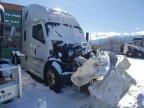 2022 Freightliner Cascadia 126