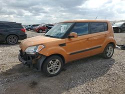 Salvage cars for sale at auction: 2011 KIA Soul +