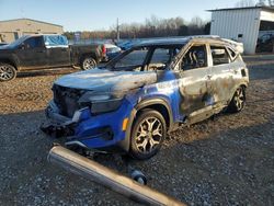 Salvage cars for sale at Memphis, TN auction: 2022 KIA Seltos EX