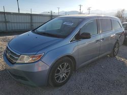 Honda Odyssey exl salvage cars for sale: 2013 Honda Odyssey EXL