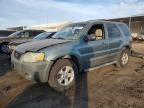 2007 Ford Escape XLT