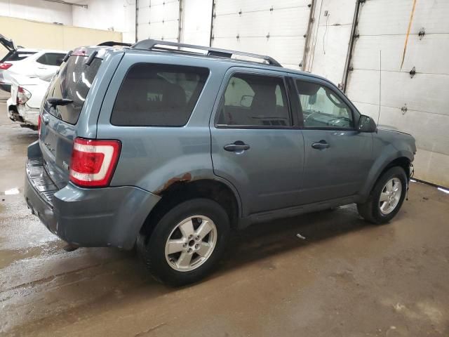 2010 Ford Escape XLT