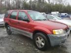 2001 Ford Escape XLS