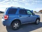 2010 Ford Escape XLS