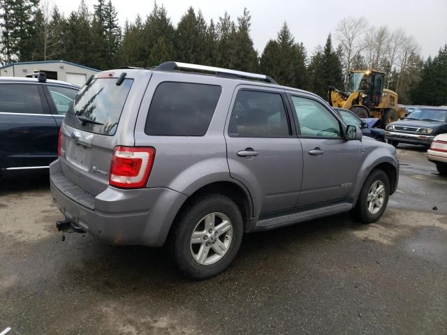 2008 Ford Escape HEV