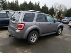 2008 Ford Escape HEV