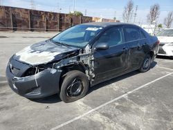 Salvage cars for sale at Wilmington, CA auction: 2009 Toyota Corolla Base