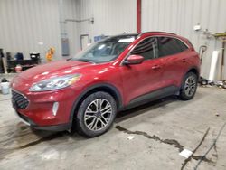 Salvage cars for sale at Appleton, WI auction: 2020 Ford Escape SEL