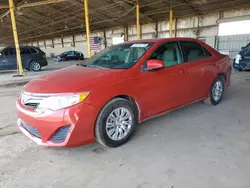 Salvage cars for sale at Phoenix, AZ auction: 2014 Toyota Camry L