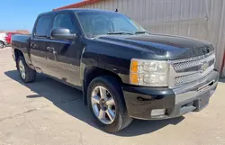 Salvage trucks for sale at Grand Prairie, TX auction: 2010 Chevrolet Silverado K1500 LTZ