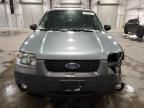 2007 Ford Escape XLT