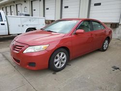 Salvage cars for sale at Louisville, KY auction: 2011 Toyota Camry Base