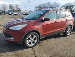 Ford Escape se Vehiculos salvage en venta: 2016 Ford Escape SE