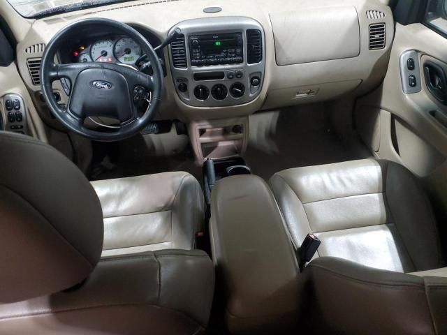 2004 Ford Escape XLT