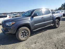 Salvage cars for sale at Antelope, CA auction: 2020 Toyota Tacoma Double Cab