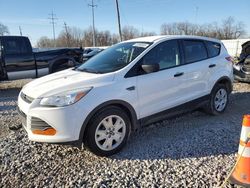 Salvage cars for sale from Copart Columbus, OH: 2015 Ford Escape S