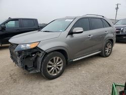 Salvage cars for sale at San Antonio, TX auction: 2012 KIA Sorento SX