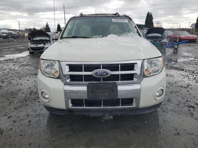 2011 Ford Escape Limited