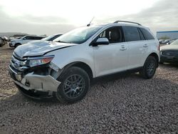 Salvage cars for sale at Phoenix, AZ auction: 2013 Ford Edge Limited