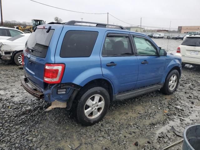 2009 Ford Escape XLT